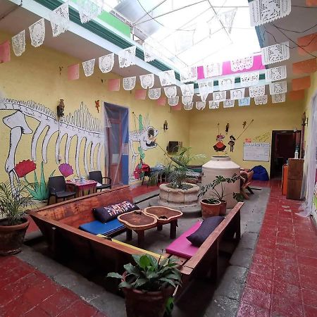 Iguana Hostel Oaxaca Exterior foto